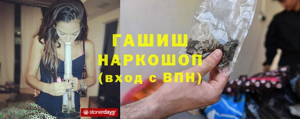 mix Бородино