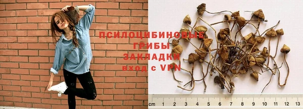 mix Бородино