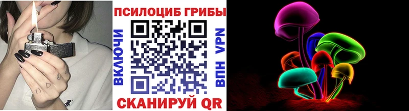 как найти наркотики  Иркутск  Псилоцибиновые грибы GOLDEN TEACHER 